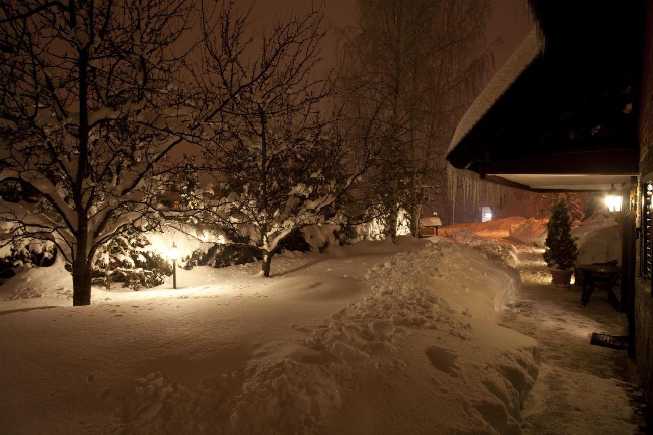 Villa Duric Superior Zlatibor Exteriör bild